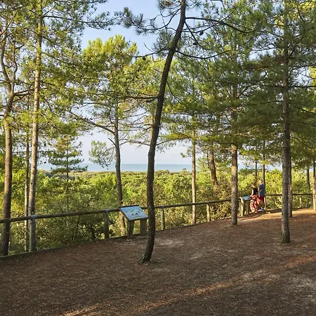 Prázdninový dům Maison 3 Avec Jardin Et Wi-fi A 10 Min De La Plage, Quartier Calme, Animaux Acceptes - Fr-1-323-370 Saint-Jean-de-Monts