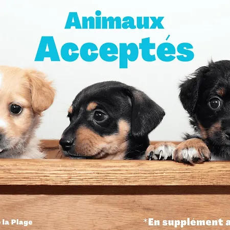 Maison 3 Avec Jardin Et Wi-fi A 10 Min De La Plage, Quartier Calme, Animaux Acceptes - Fr-1-323-370 * Saint-Jean-de-Monts